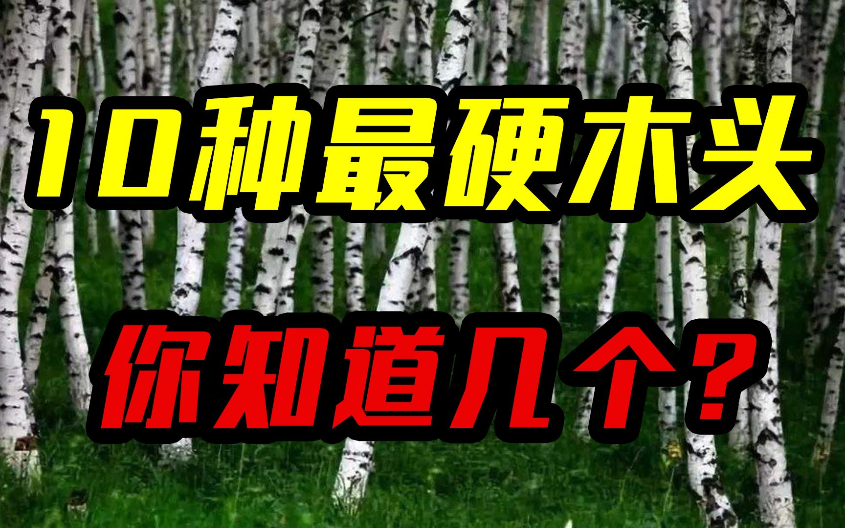 世界上10种最硬木头,你知道几个?“紫光檀”垫底,第一是钢铁2倍!哔哩哔哩bilibili