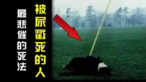 l探员的动态-哔哩哔哩