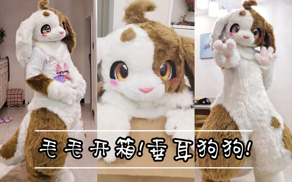 【兽装/fursuit】新的毛毛开箱!a家制作的大狗狗_哔哩哔哩_bilibili