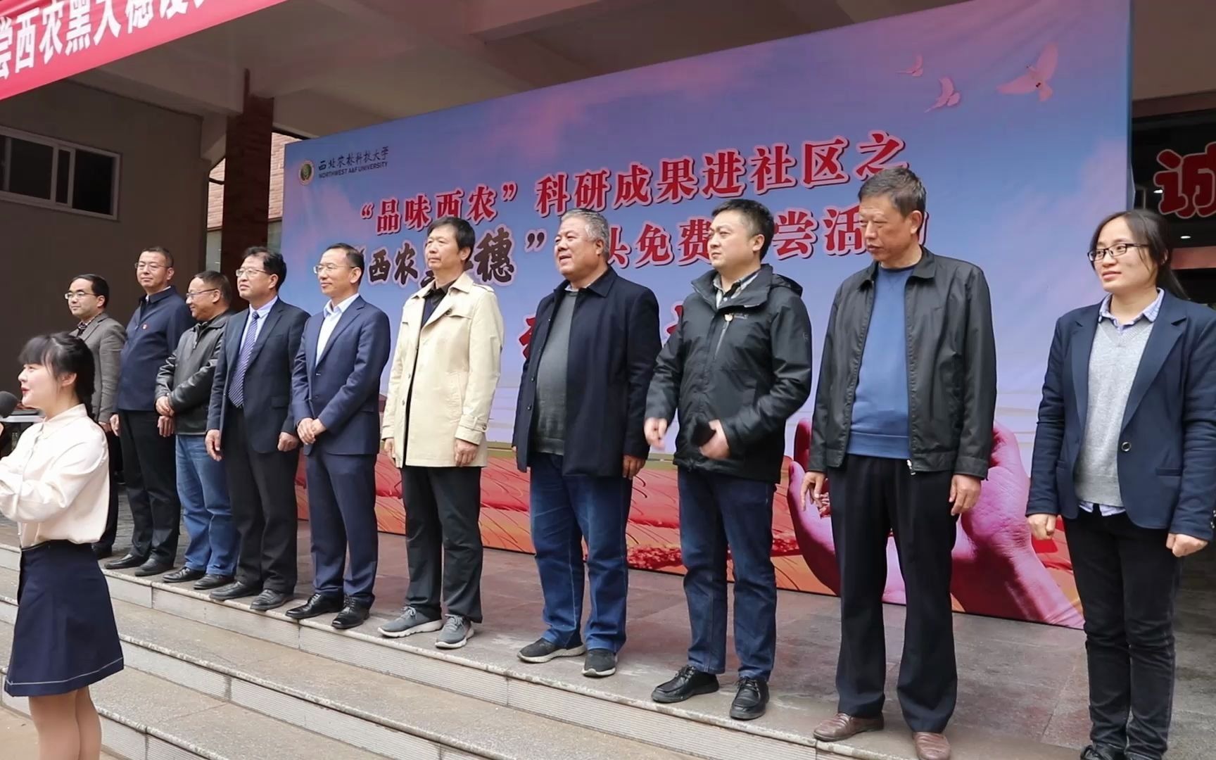 现场直击西农黑大穗馒头免费发放