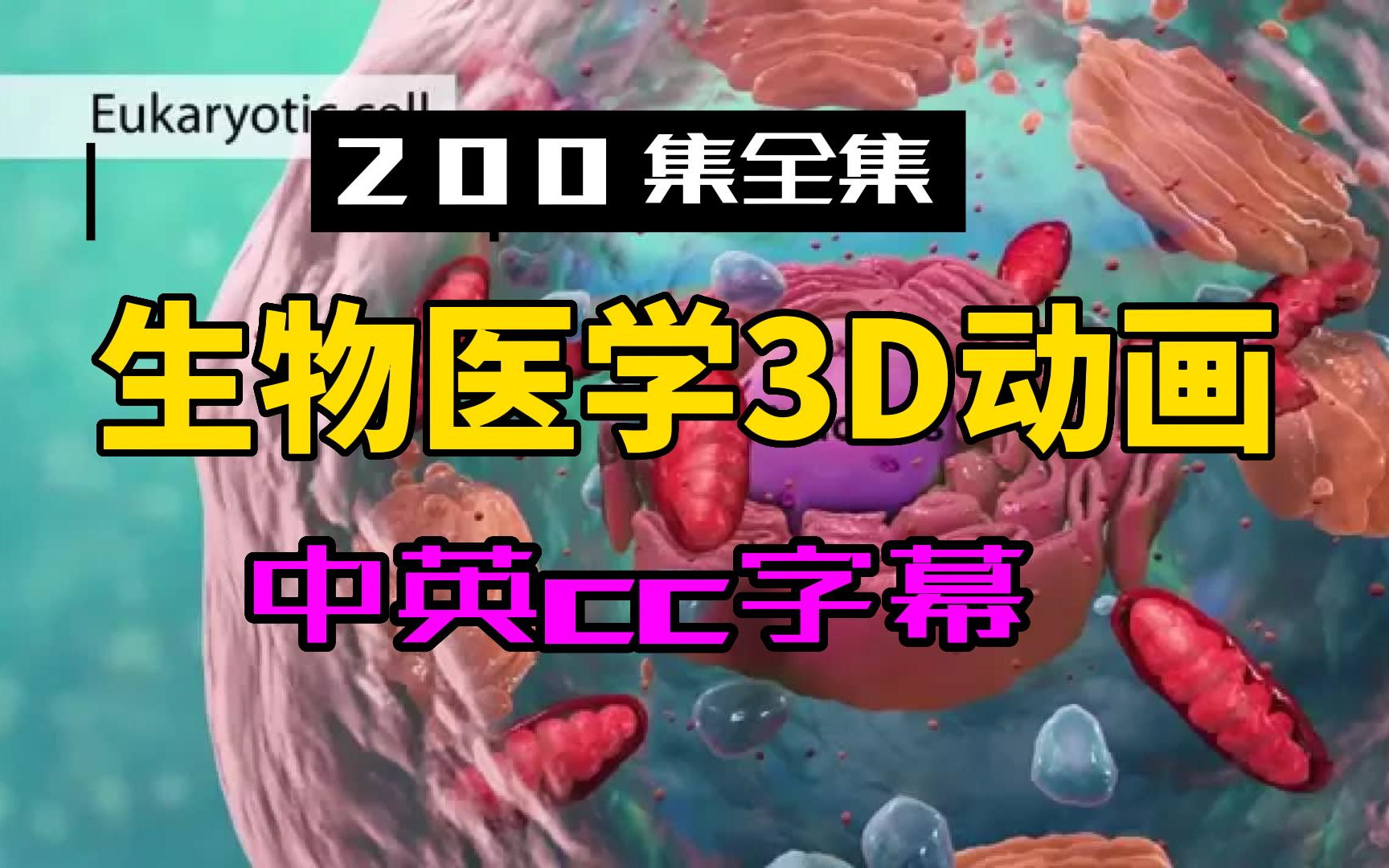 [图]【500集全集】生物医学3D动画第二期-第51至80集-中英cc字幕-生物医学英语-持续更新中