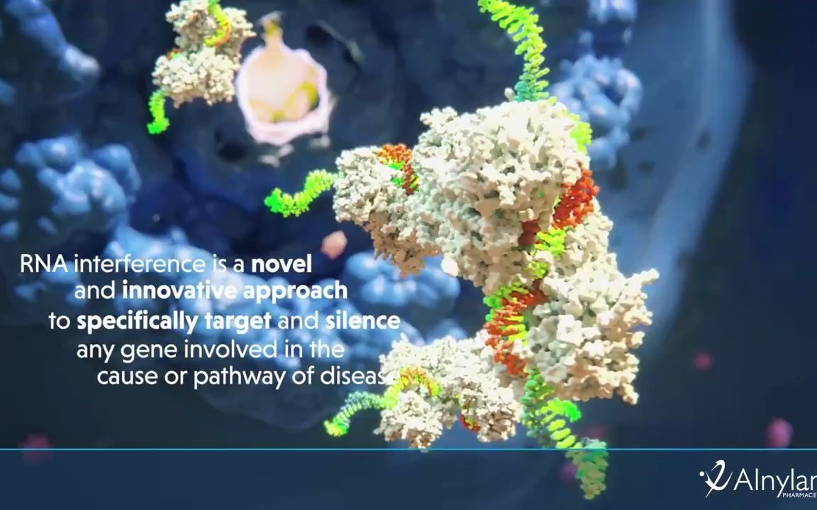 精美的RNA干扰视频,庞大的分子机器哔哩哔哩bilibili