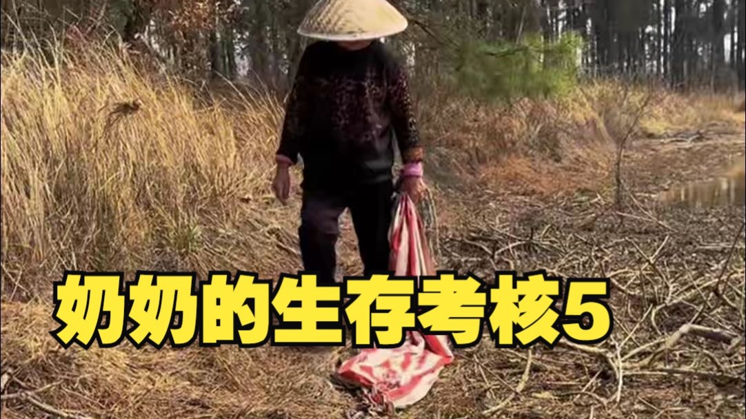 奶奶的生存考核5