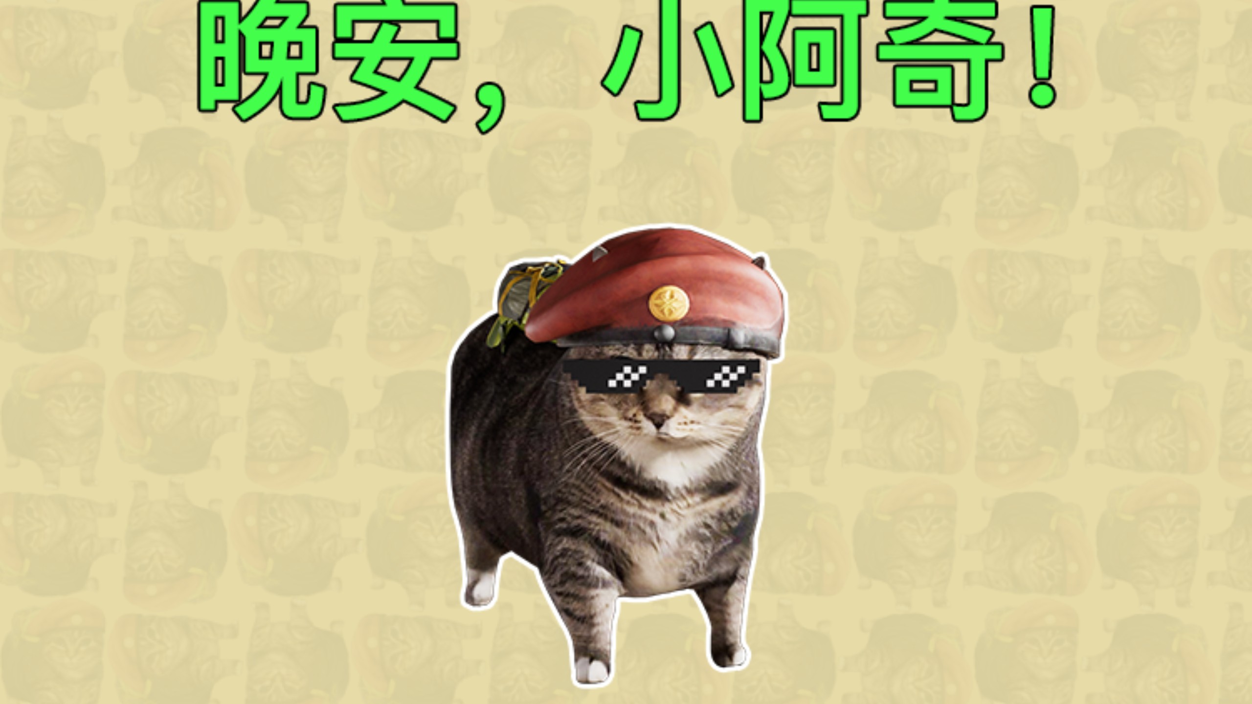 晚安，小阿奇
