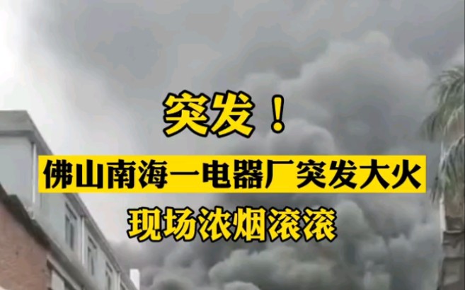 [图]突发！3月24日，广东佛山市南海区曹边村，一电器厂突发大火，现场浓烟滚滚。