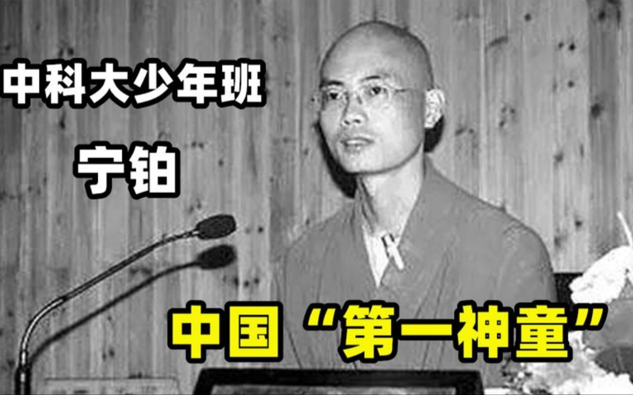 17年前,那个出家当和尚的中国第一“神童”宁铂,如今怎么样了?哔哩哔哩bilibili