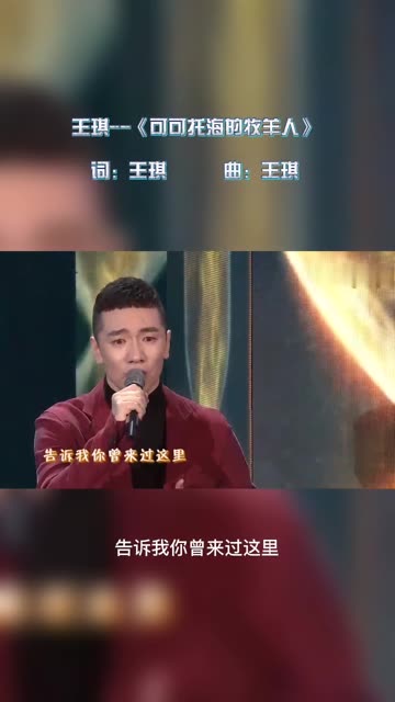 歌手王琪上春晚图片