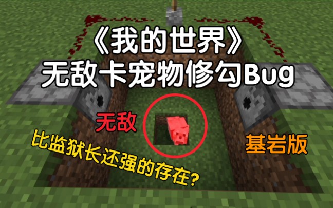 [图]我的世界篇－无敌卡宠物修勾Bug，比监狱长还强的存在？