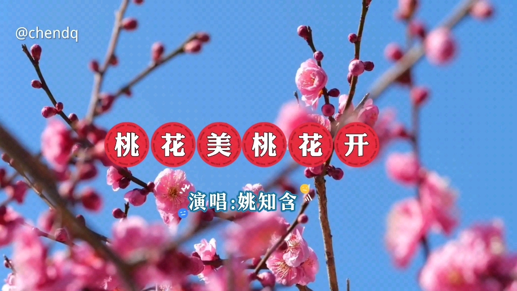 《桃花美桃花开》演唱:姚知含