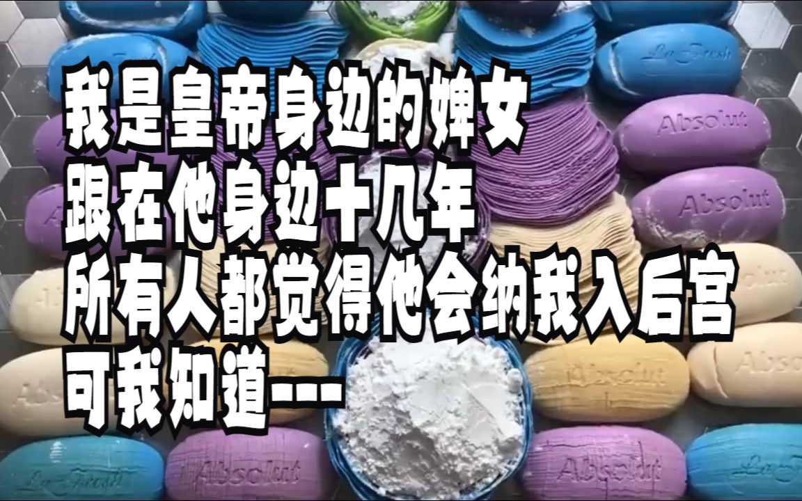 [图]【一更到底】Ⅲ 我是皇上的婢女，跟在他身边十多年，看着他从爽朗皇子变成阴狠帝王。所有人都以为他会将我纳入后宫，可我一直知道——