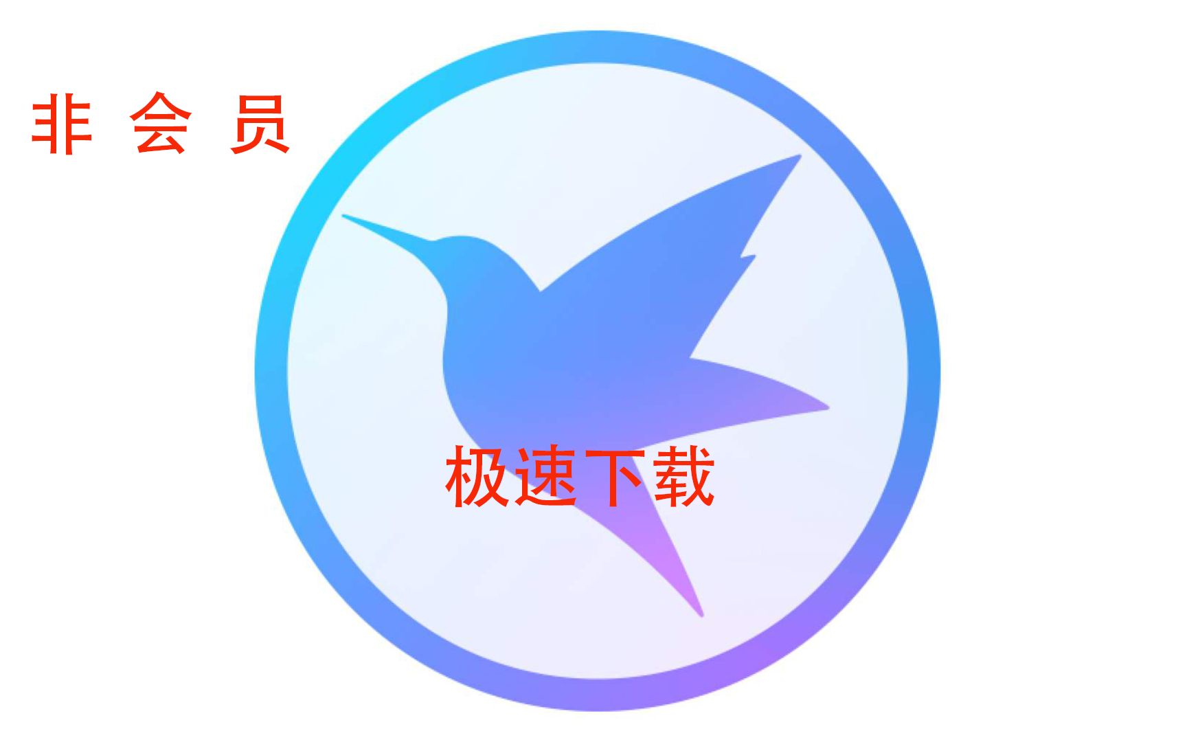 迅雷下载演示哔哩哔哩bilibili