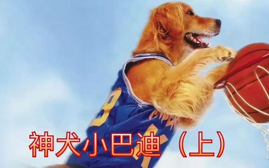 [图]《神犬小巴迪》速看2-1