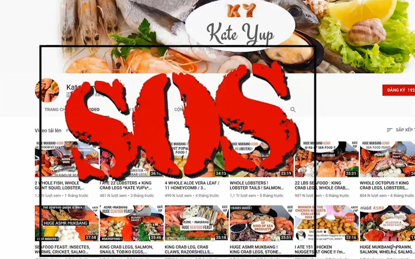 kate yup怎么了?是否需要救助?