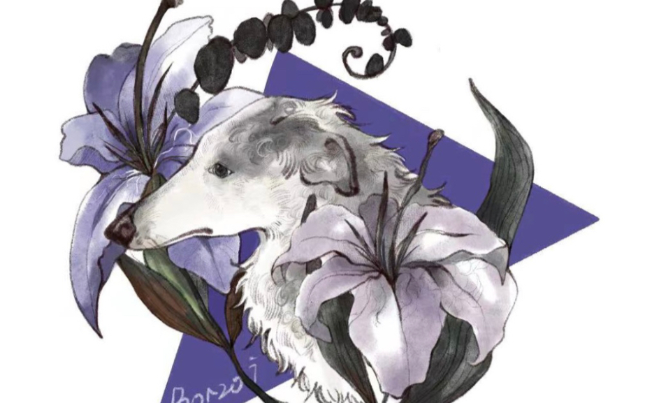 【绘画过程】苏俄猎狼犬