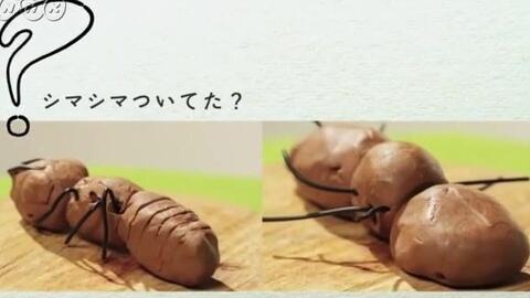 ふしぎエンドレス理科３年 虫はどこにいる 理科４年 満月は時間がたつと 理科５年 天気の変化に決まりはある 理科６年 人の体のしくみ 考察編 考えるカラス 哔哩哔哩