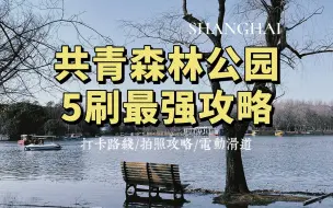 Download Video: 上海公园 | 5刷共青森林公园我悟了！绝佳路线+新出片圣地