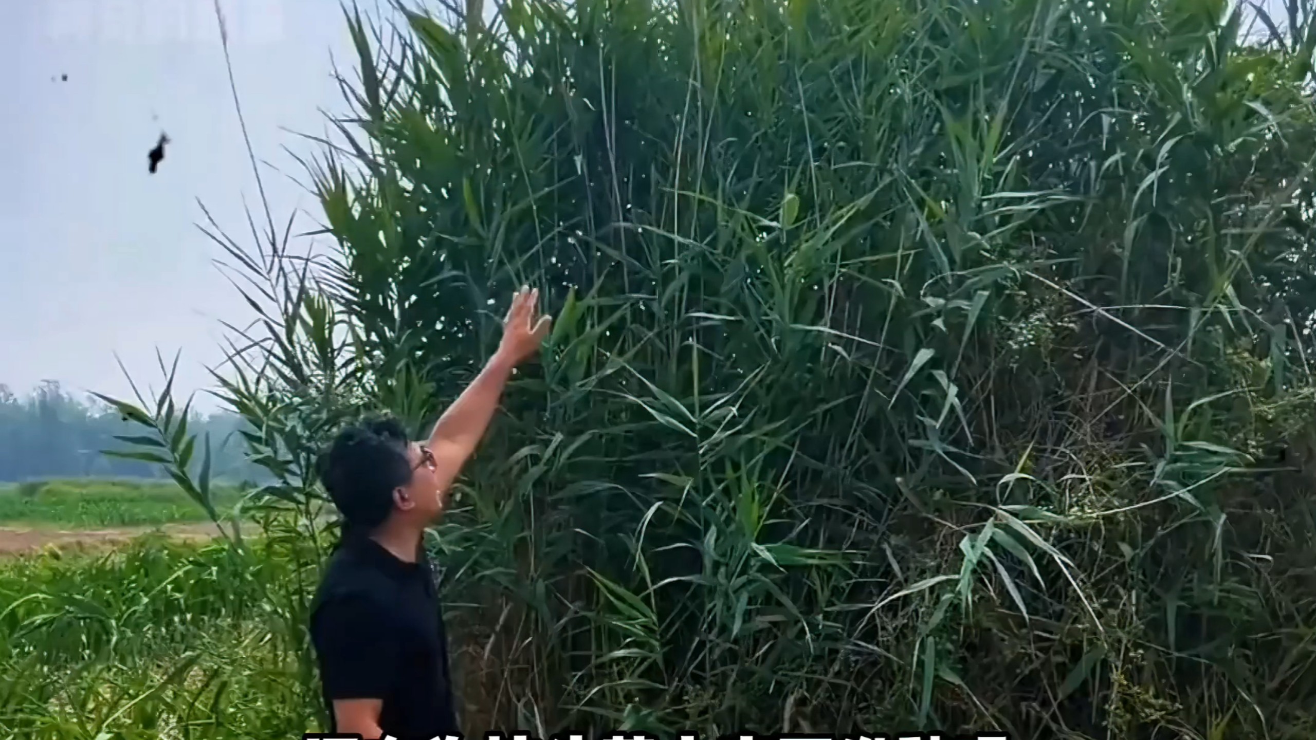 还在担心死没人给你烧香烧纸钱吗