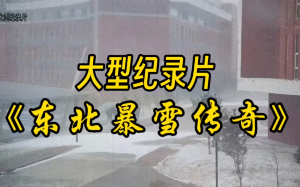 [图]出门靠滑行，一看步数就是0。大型纪录片《东北暴雪传奇》正在播出