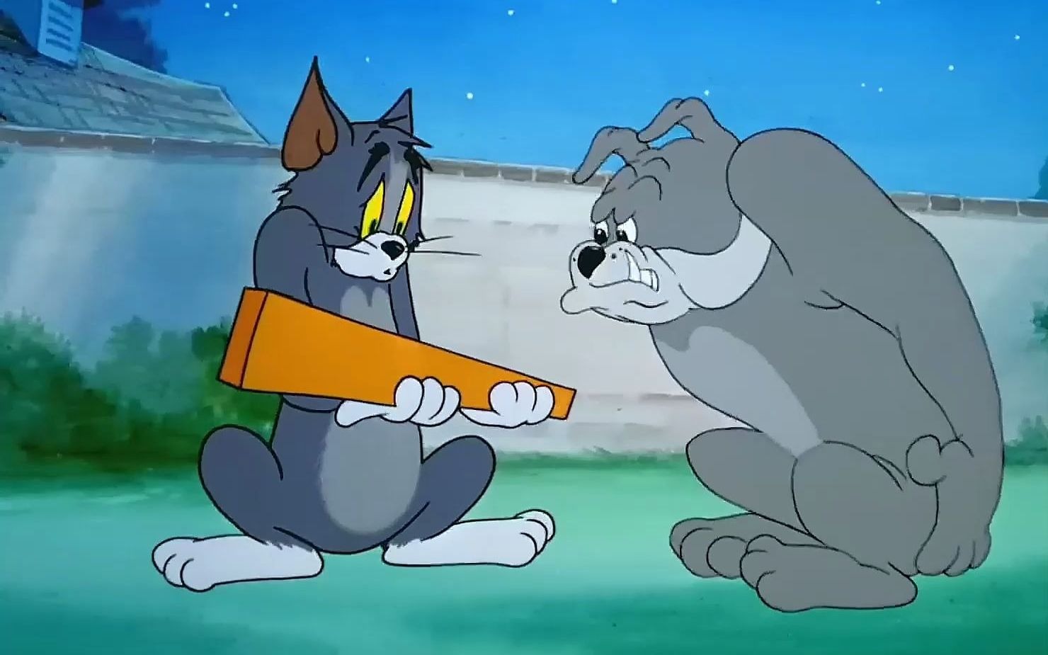 "2023 汤姆战胜斯派克"愿你前程似锦,未来可期#猫和老鼠 #童年经典