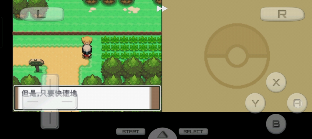 口袋妖怪白金第一期