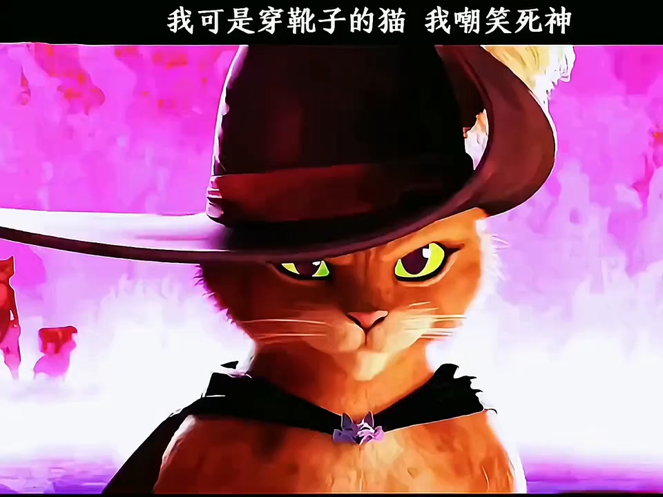 穿靴子的猫?哔哩哔哩bilibili