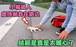 Download Video: 小猫太可怜了，被人虐待之后丢弃在路边，幸好遇到好心小哥救援