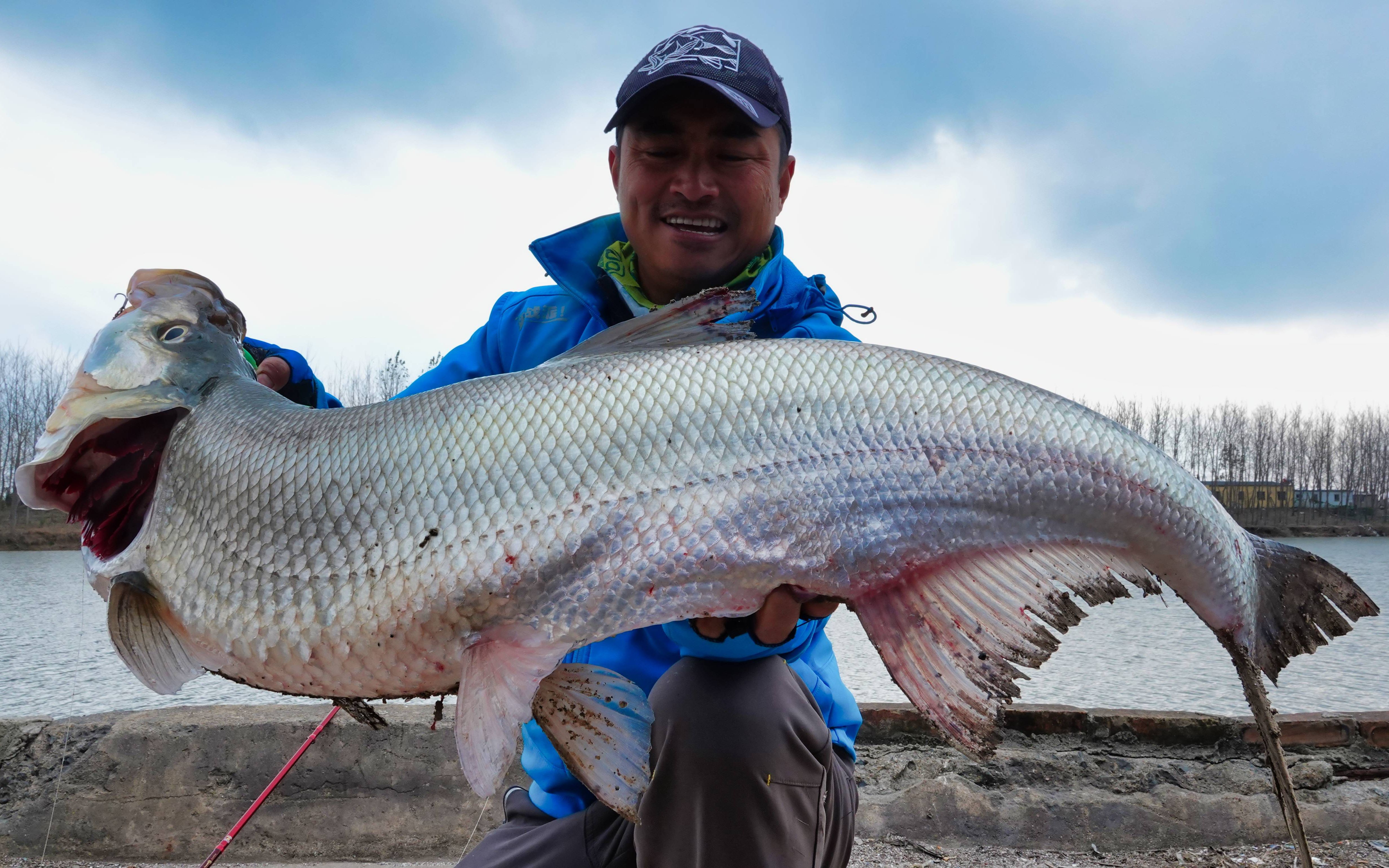 蓝旗鱼路亚丨呛水怎样钓米翘?傻瓜式操作,抛出去慢慢收回来就可以啦!