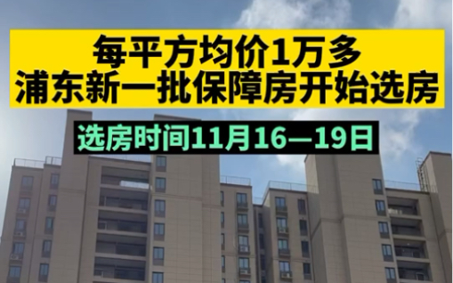 [图]每平方均价1万多 浦东新一批保障房开始选房