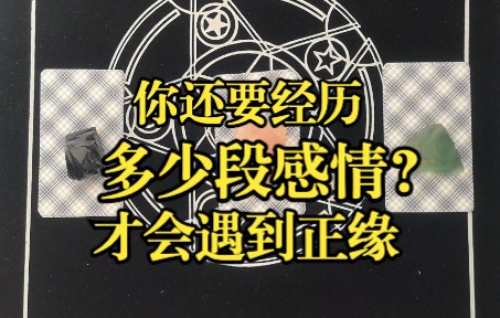 你还要经历多少段感情才会遇到正缘?|大众占卜|Abner占星塔罗|评论弹幕领取好运哔哩哔哩bilibili