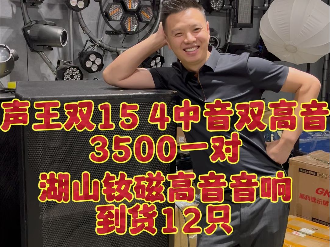 声王双15,4中音,双高音,3500一对.湖山钕磁高音音响,到货12只.双15音响批发,湖山音响批发,高配音响批发,高性价比音响批发,钕磁高音音响批...