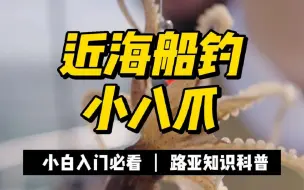 Download Video: 想吃新鲜的小八爪，出海船钓小八爪走起！