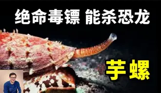 Download Video: 世界最危险海螺，发射剧毒飞镖，足以射杀恐龙！见到它千万别碰！