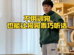 Télécharger la video: 做好这几件事，不用训狗也能让它乖巧听话！