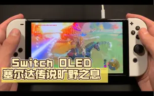 Download Video: 【Switch OLED】《塞尔达传说旷野之息》骑马的汉子