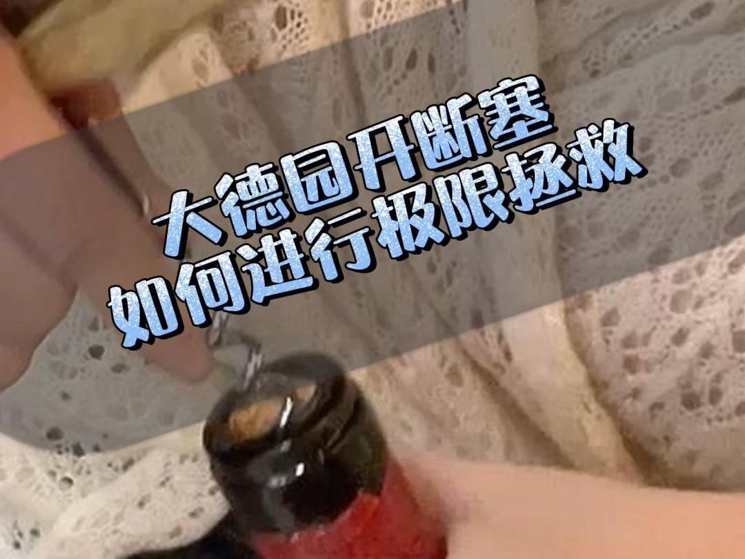 大酒断塞急救法,主打一个好心态!#葡萄酒知识哔哩哔哩bilibili