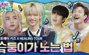 Download Video: (中字)迷人综艺[PLAY SEOUL  EP.3] Stray Kids X HEALING TOUR，Stray Kids玩的方法!