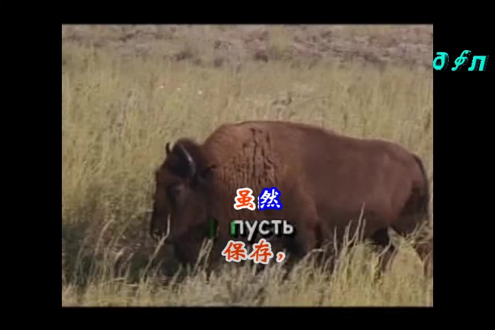 [图]青色的头巾[中俄字幕伴奏二]