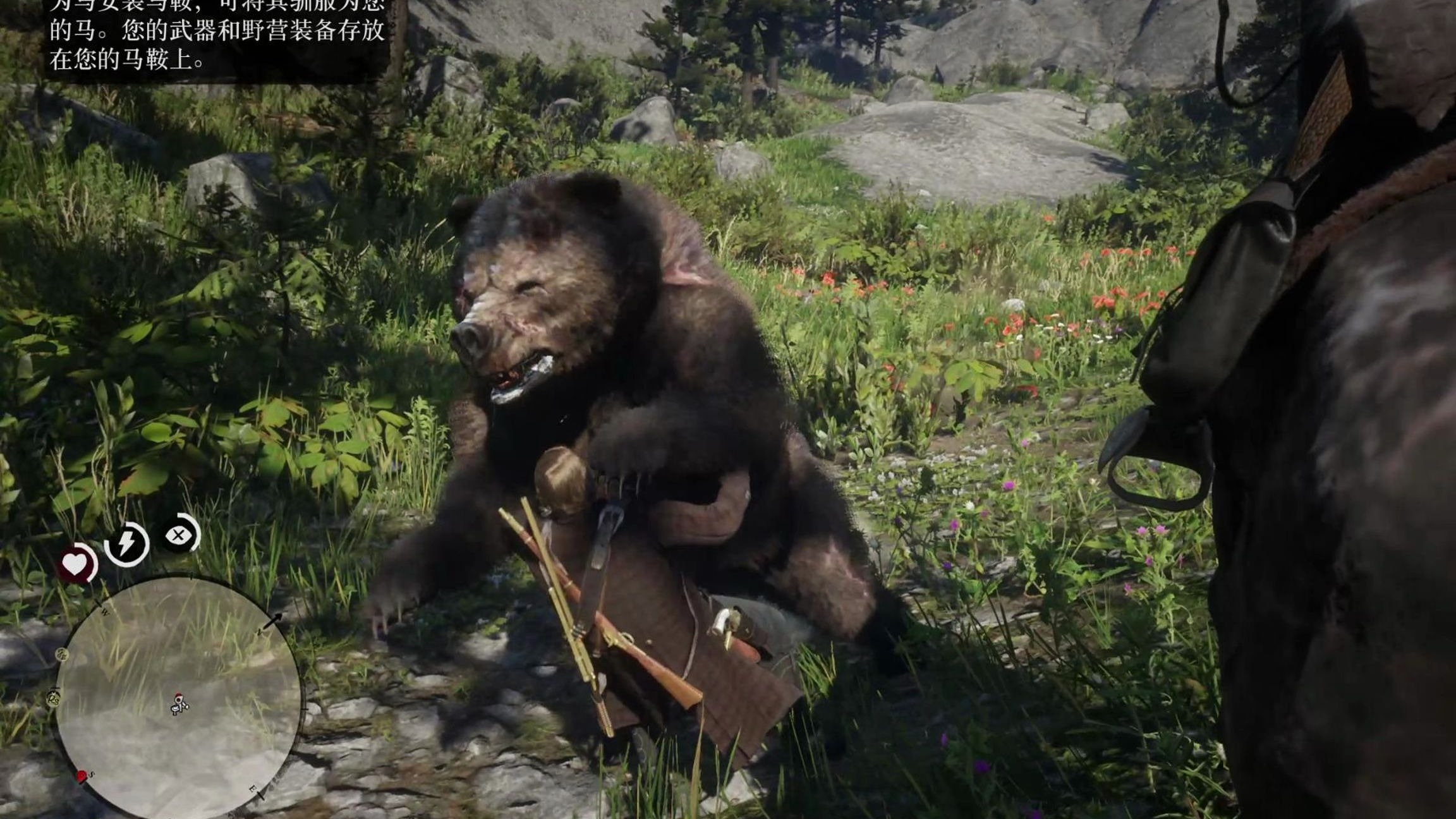 荒野大镖客2 狩猎传说熊