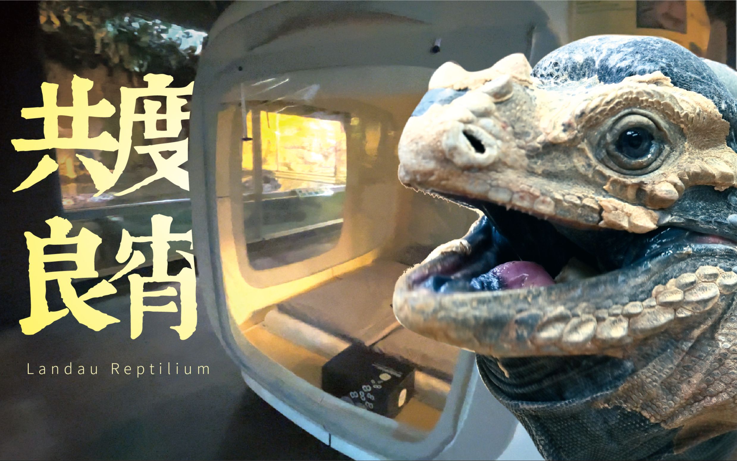 [图]【夜宿德国最大爬行馆】是怎样的体验？Landau Reptilium·番外篇