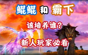 Download Video: 【妄想山海】鲲鲲和霸下该培养谁？新人玩家必看！