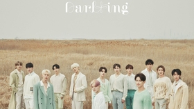 Seventeen Darling竖琴翻弹 哔哩哔哩 つロ干杯 Bilibili