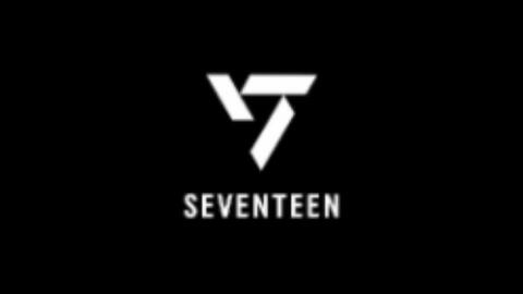 SEVENTEEN】单人综艺合集①_哔哩哔哩_bilibili