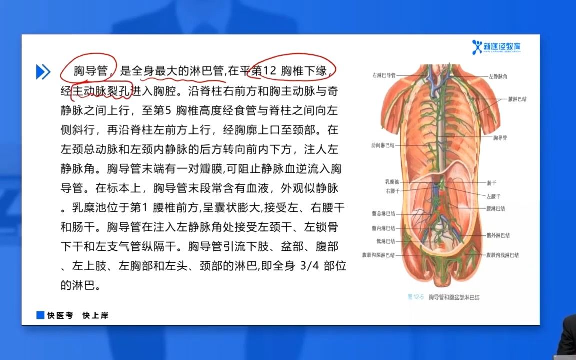 第八章 脉管系统 第二节 淋巴系统解剖学哔哩哔哩bilibili