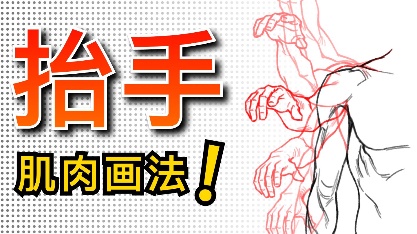(干货）手臂抬起时，肌肉如何变化？