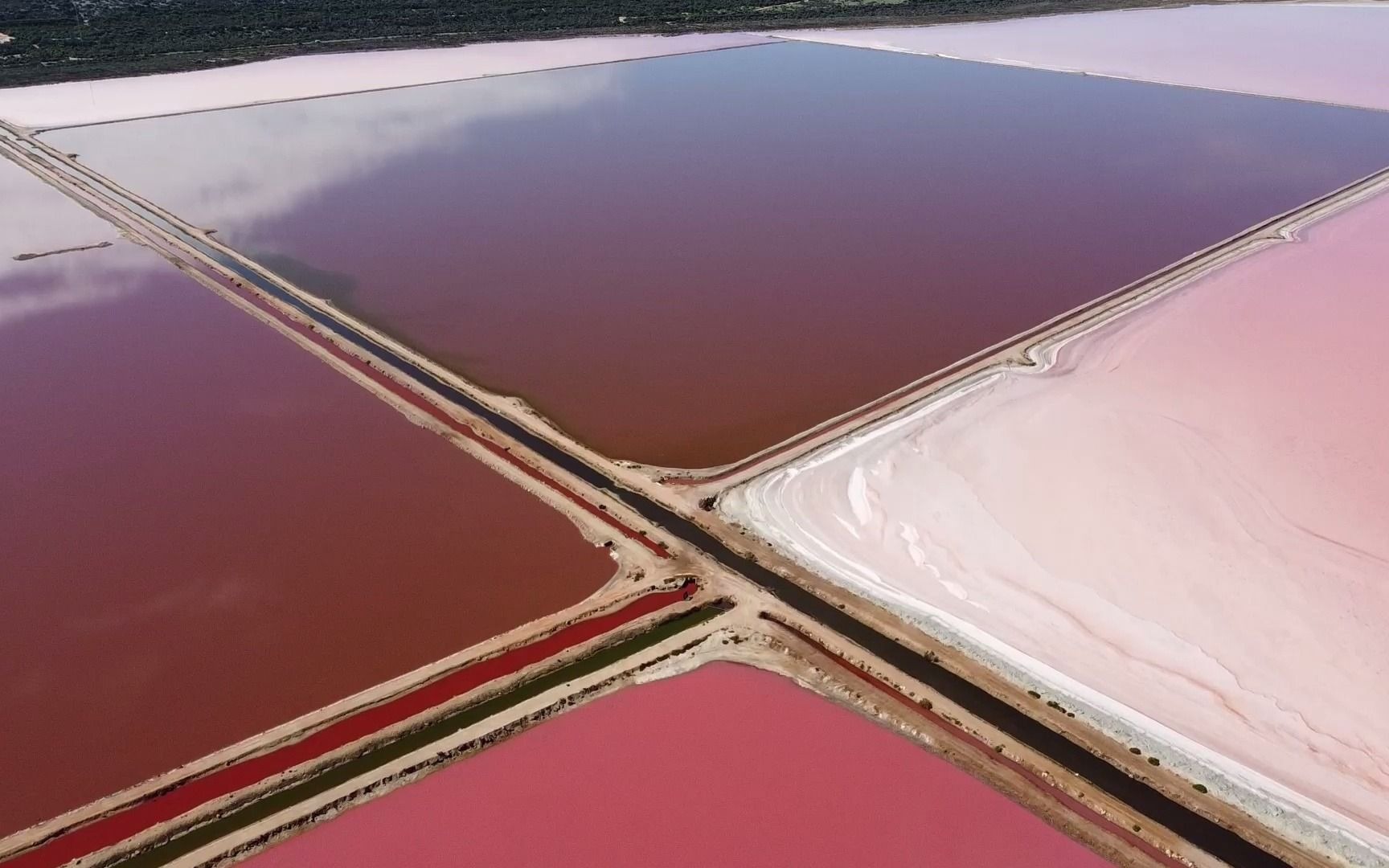 粉红湖-赫特潟湖(hutt lagoon)