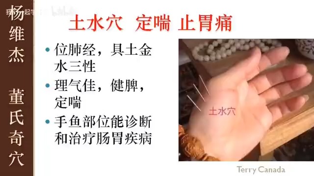 【针灸】土水穴(董氏奇穴-杨维杰-16)