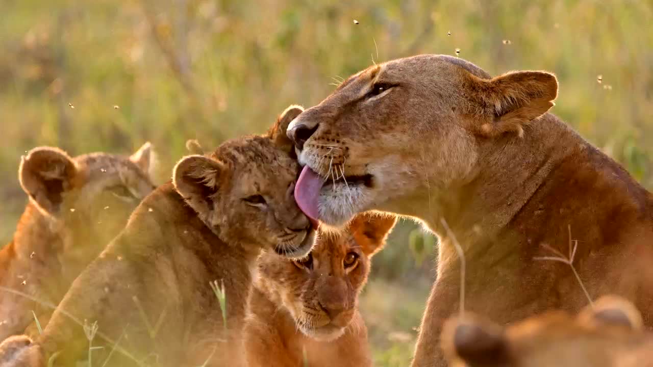 不一而足vxhbkagybqjoco