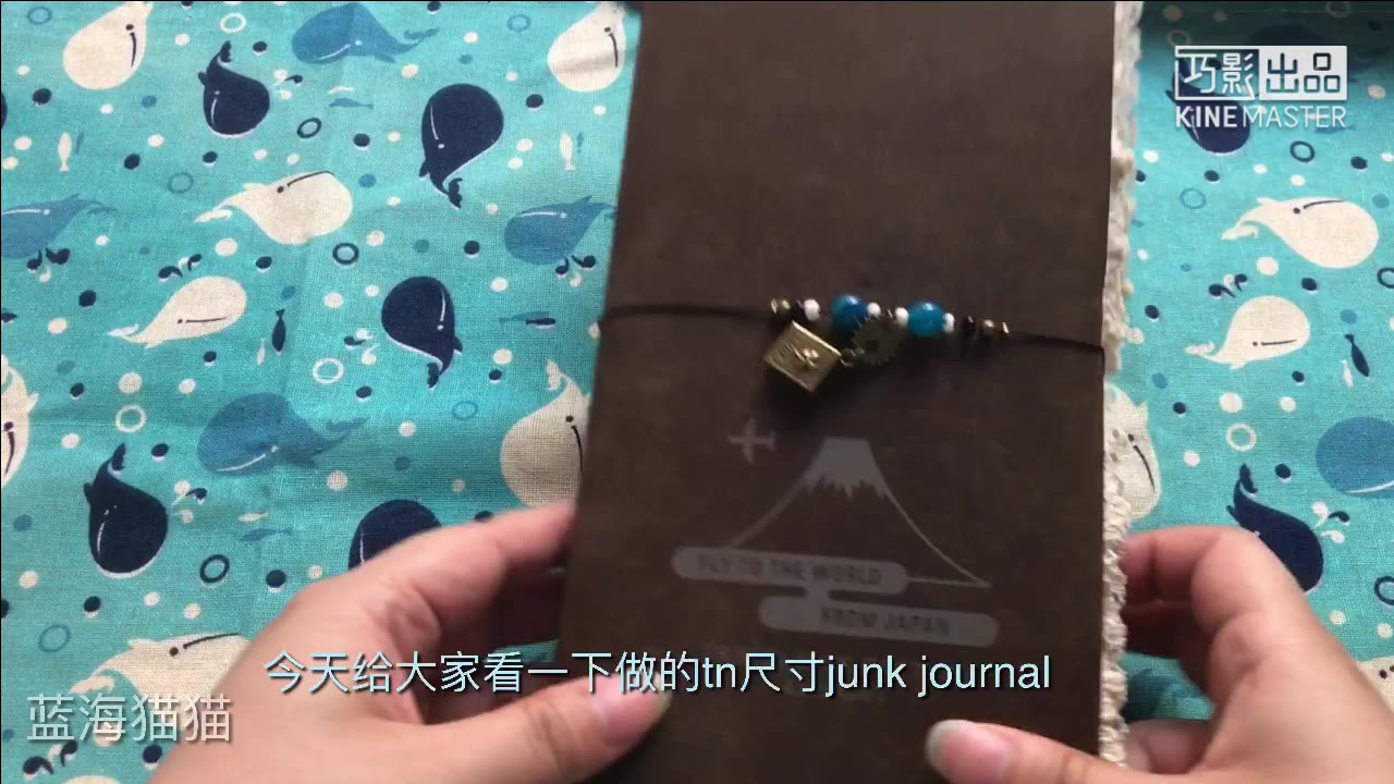 【手帐】标准tn尺寸junk journal哔哩哔哩bilibili