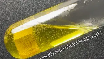 给我一块金，我请你看金海