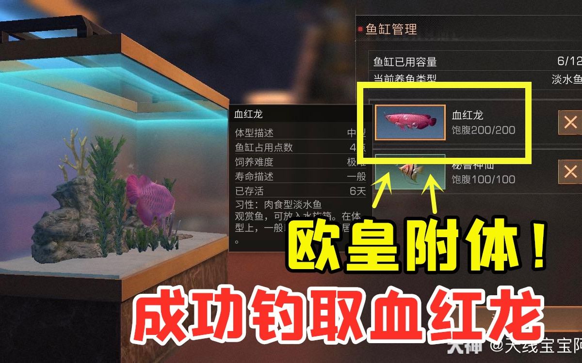 明日之后70功夫不负有心人叶秋成功钓取血红龙